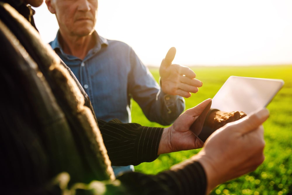 Cómo Obtener Soluciones Agrarias Rentables para tu Cultivo: Estrategias Efectivas