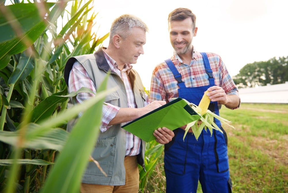 Consejos de Expertos: El Rol Fundamental del Asesoramiento Agrario en tu Campo